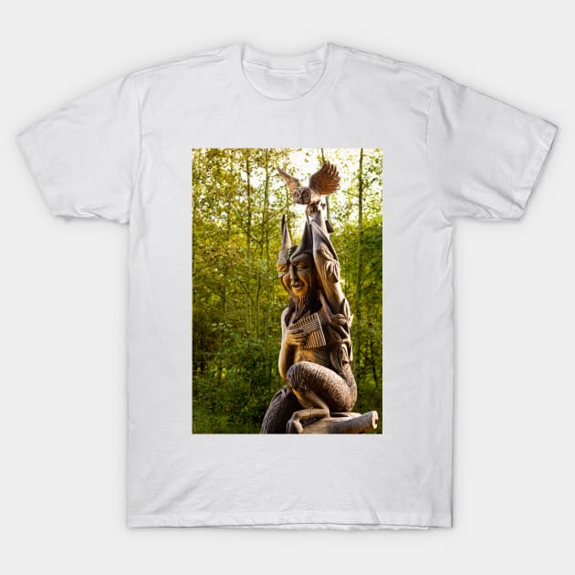 Satyr of the forest - 2012 T-Shirt by SimplyMrHill